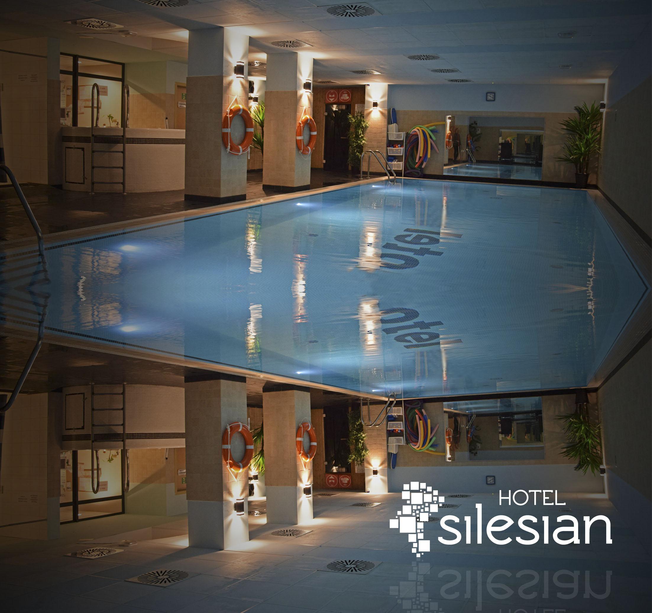 Economy Silesian Hotel Katowice Buitenkant foto