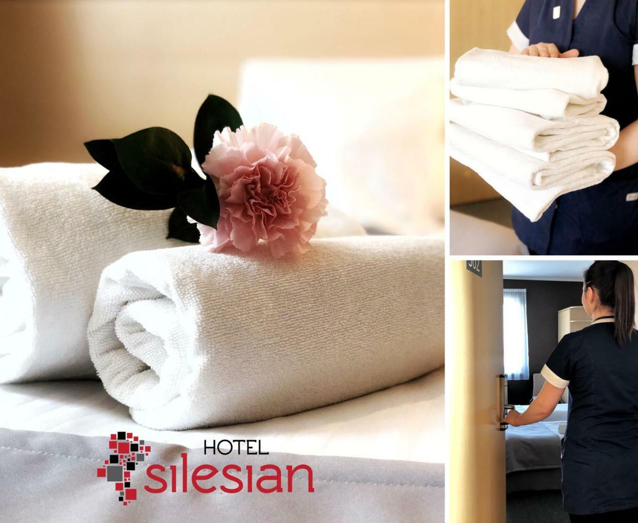 Economy Silesian Hotel Katowice Buitenkant foto